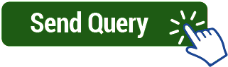 Send Query Button